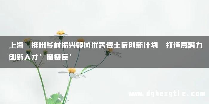 上海 推出乡村振兴领域优秀博士后创新计划 打造高潜力创新人才‘储备库’